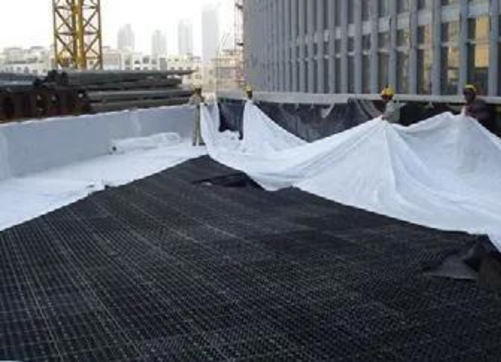 Untitled (974 x 705 px) (21)