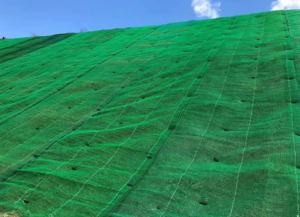 Untitled (974 x 705 px) (22)