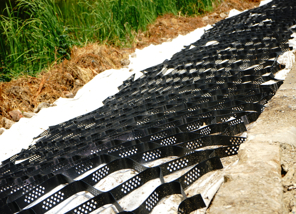 Untitled (974 x 705 px) (27)