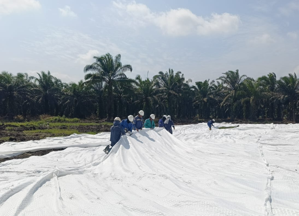 Untitled (974 x 705 px) (29)