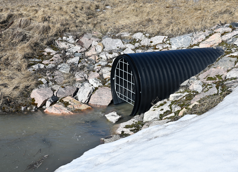 Untitled (974 x 705 px) (33)