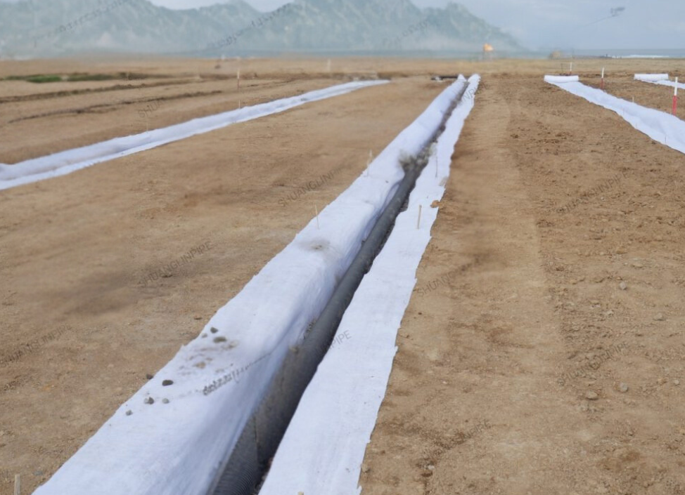 Untitled (974 x 705 px) (34)