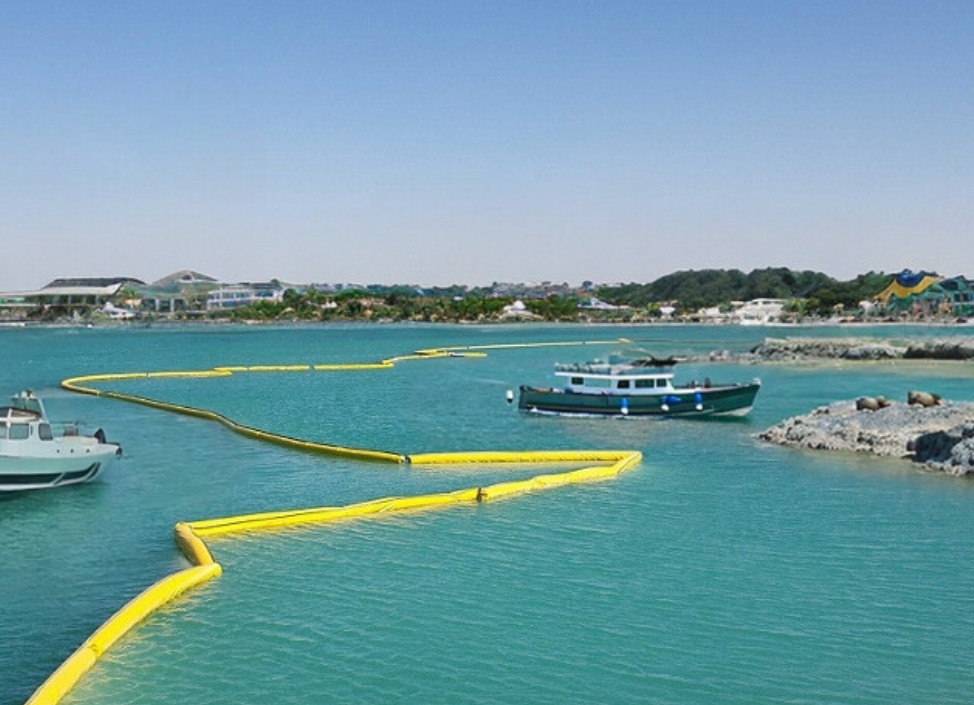 Untitled (974 x 705 px) (38)