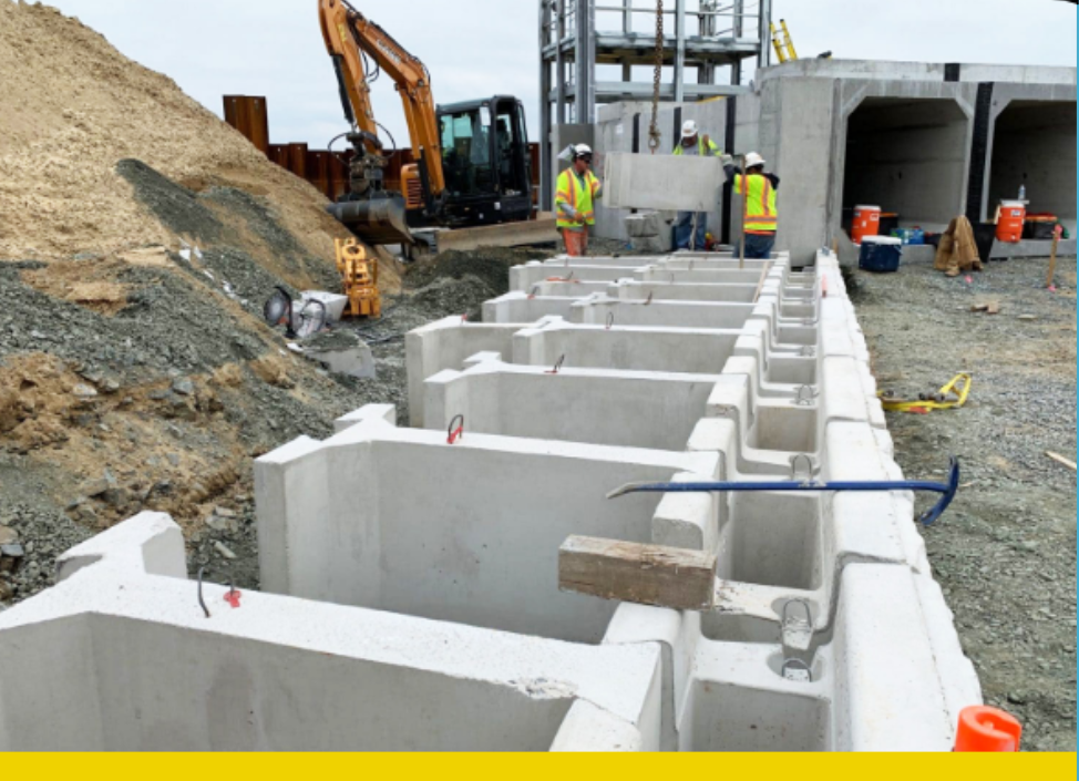 Untitled (974 x 705 px) (49)