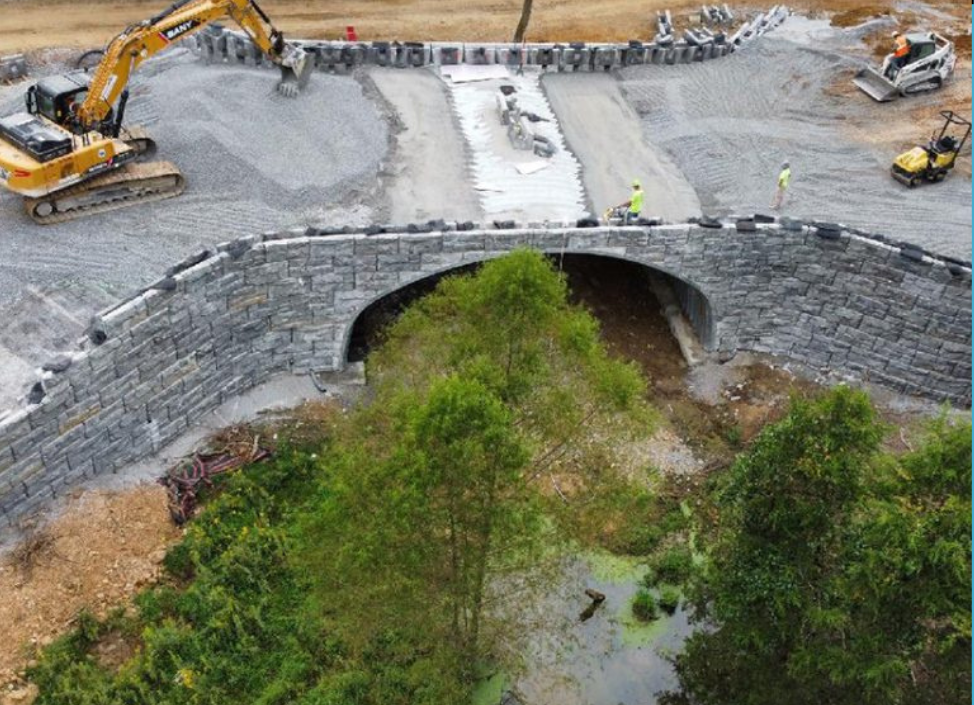 Untitled (974 x 705 px) (56)