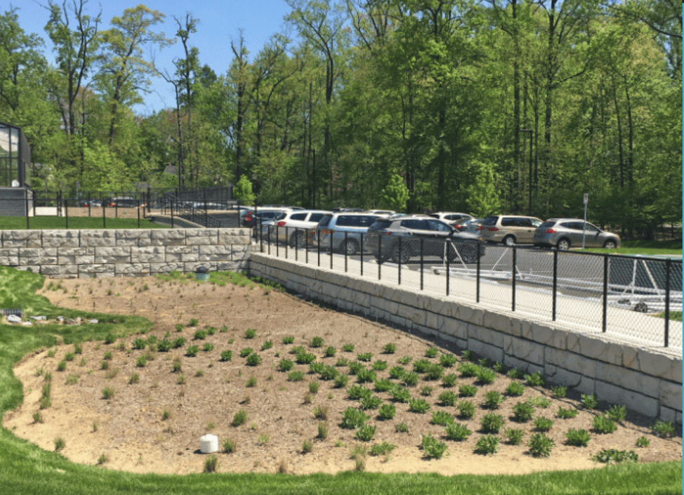 Untitled (974 x 705 px) (64)