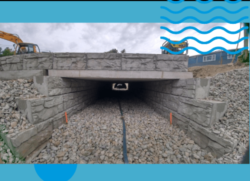 Untitled (974 x 705 px) (65)